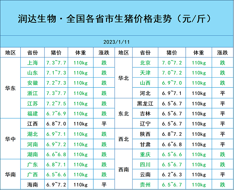 1月11日猪价行情