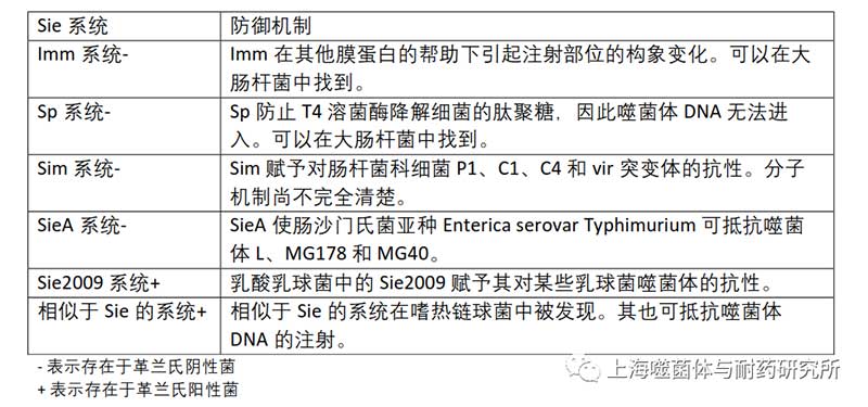 超熏染扫除 (Sie) 系统对抗噬菌体 DNA  