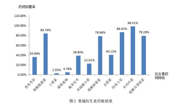 抗生素药敏效果