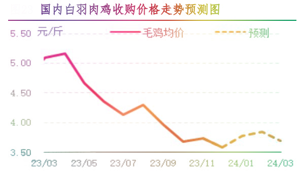 12月肉鸡市场行情剖析及1月行情展望