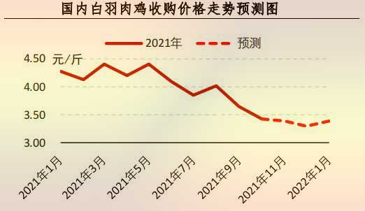 白羽肉鸡价钱走势