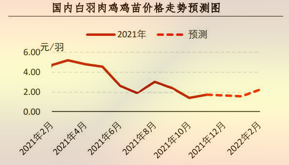 海内白羽肉鸡鸡苗价钱走势展望图