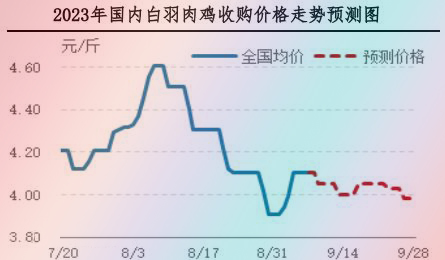 肉鸡市场行情汇总