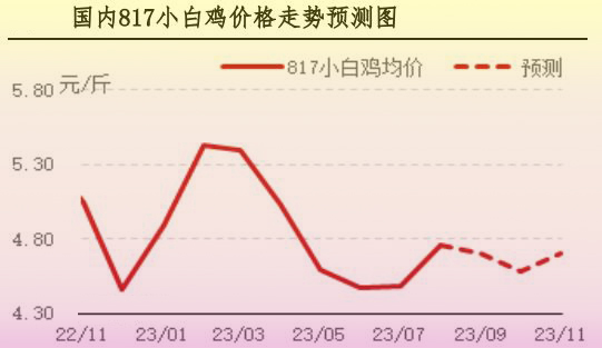 8月肉鸡市场行情剖析及9月行情展望