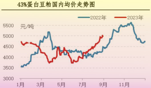 8月肉鸡市场行情剖析及9月行情展望