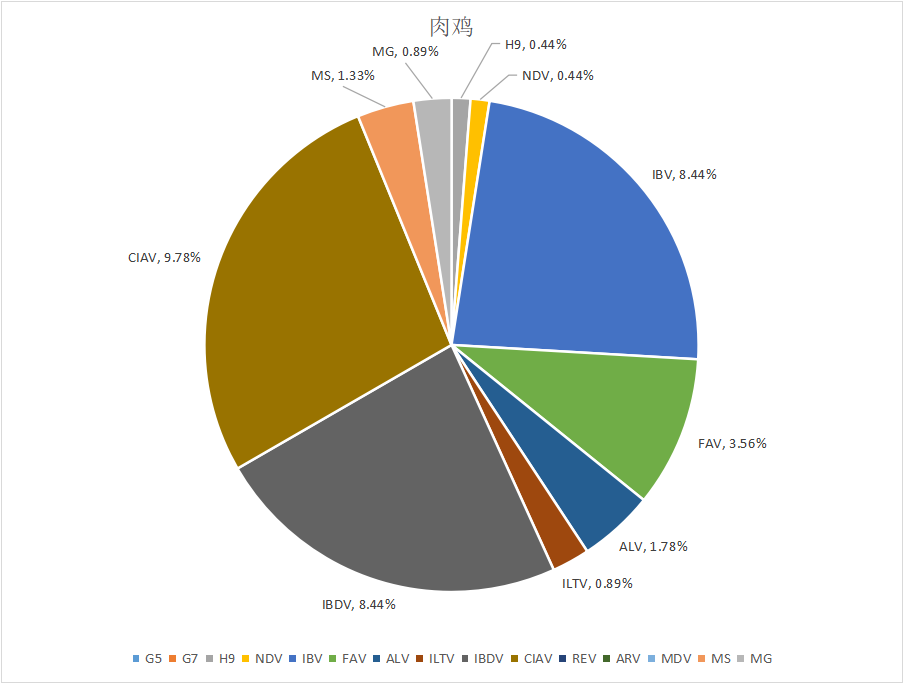 怎样应对目今的变异型法氏囊炎？