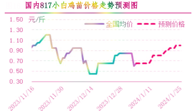 肉鸡市场行情汇总