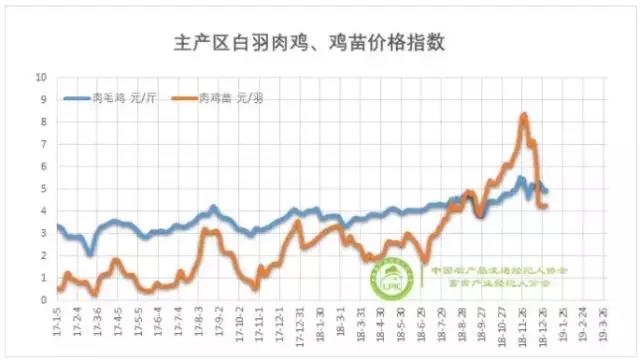  2019年白羽肉鸡行业展望