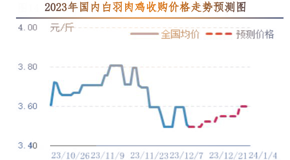 肉鸡市场行情汇总