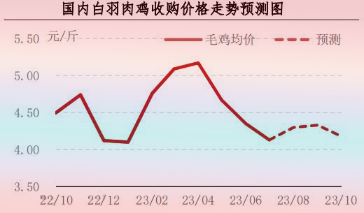 7月肉鸡市场行情剖析及8月行情展望