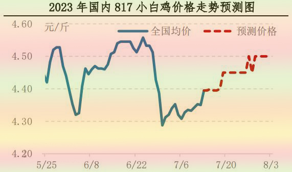 肉鸡市场行情汇总