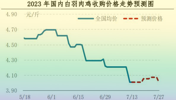 肉鸡市场行情汇总